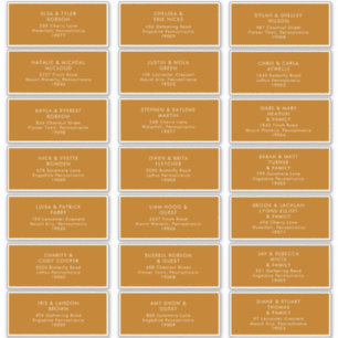 Désert simple Étiquettes de adresse orange brûlé