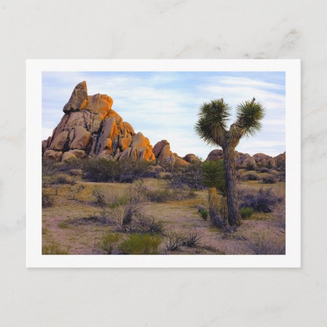 " Desert Soft Light " Postkarte (Vorderseite)