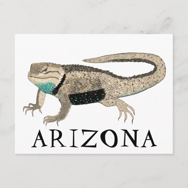 Desert Spiny Lizard ARIZONA Wilde Tierart Art Postkarte (Vorderseite)