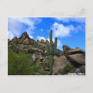 Desert Treasures Postkarte