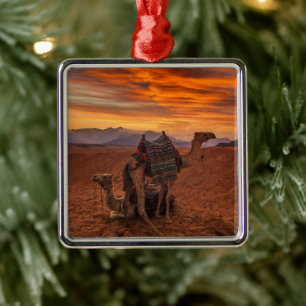 Deserts Bactrian Camel Egypt Sand Dune Ornament Aus Metall