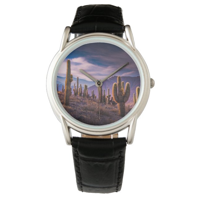 Deserts | Cactus Landscape Argentina Armbanduhr (Vorderseite)
