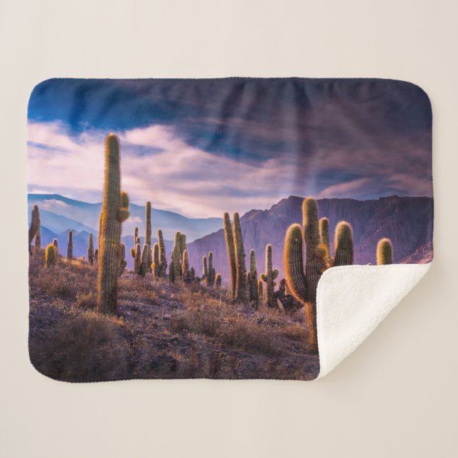 Deserts | Cactus Landscape Argentina Sherpadecke (Vorderseite (Horizontal))