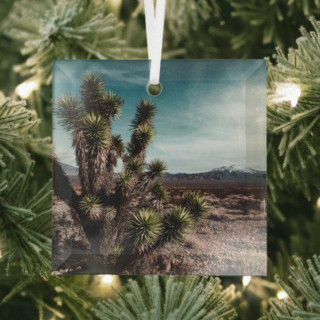 Deserts | Cholla Cactus Ornament Aus Glas (Insitu)