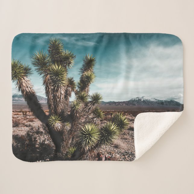 Deserts | Cholla Cactus Sherpadecke (Vorderseite (Horizontal))