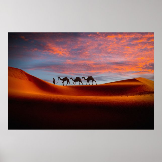 Deserts | Man & Camels in the Sand Dunes Poster (Vorne)
