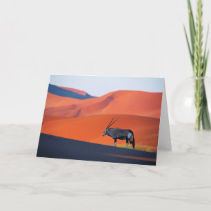 Deserts   Namib Desert Oryx Karte