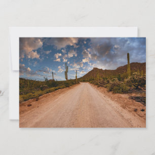Deserts   Saguaro National Park Arizona Dankeskarte
