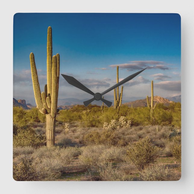 Deserts | Superstition Mountains, Arizona Quadratische Wanduhr (Vorderseite)