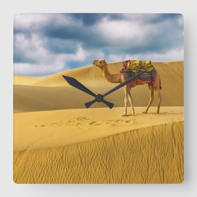 Deserts | Thar Desert Rajasthan India Camel Quadratische Wanduhr (Vorderseite)