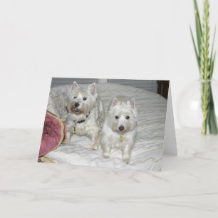 Desi und Lucy Karte
