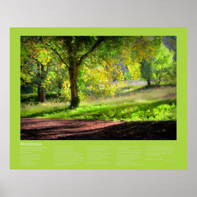 Desiderata - Beginn eines kornischen Herbstes Poster (Vorne)