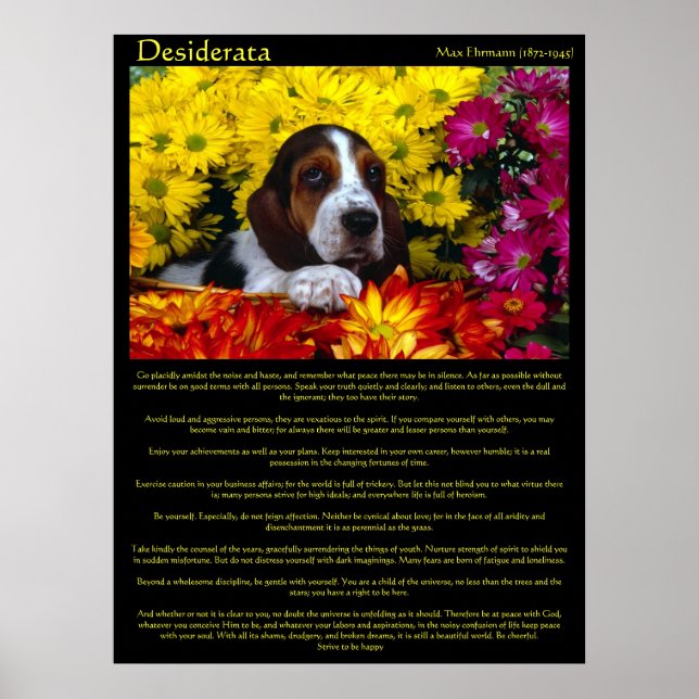 Desiderata Blume Beagle Posters Poster (Vorne)