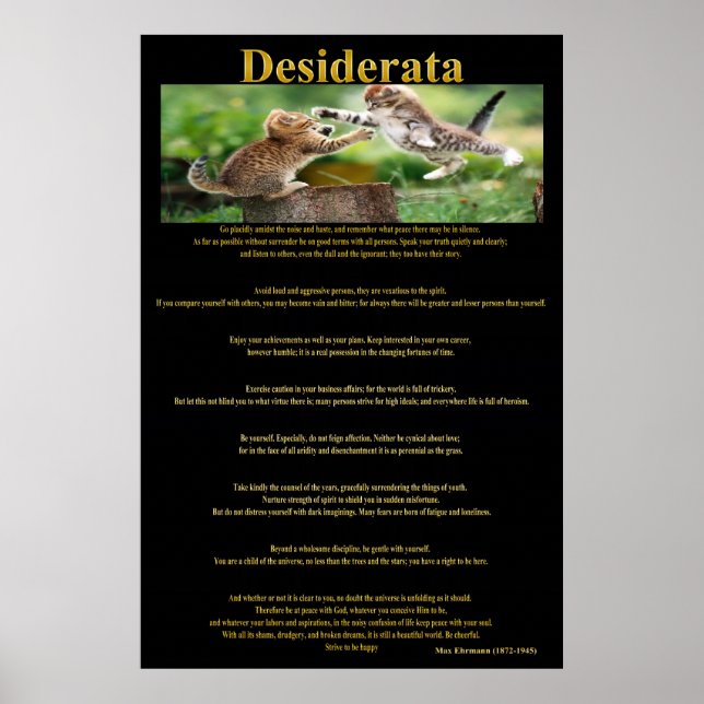 Desiderata Cat Fight Posters 1a (Devant)