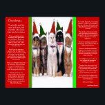 DESIDERATA Christmas Cats Posters Poster<br><div class="desc">The full Desiderata by Max Ehrmann: Go placidly amidst the noise and haste... featuring a breath taking view of Christmas cats with red and green hats on sitting together side by side with a white back ground .The verses have inspired young, adults since the 1920's and is as popular today...</div>