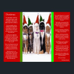 DESIDERATA Christmas Cats Posters Poster<br><div class="desc">The full Desiderata by Max Ehrmann: Go placidly amidst the noise and haste... featuring a breath taking view of Christmas cats with red and green hats on sitting together side by side with a white back ground .The verses have inspired young, adults since the 1920's and is as popular today...</div>