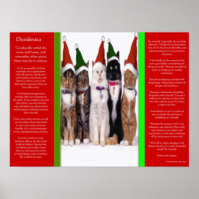 DESIDERATA Christmas Cats Posters Poster (Vorne)