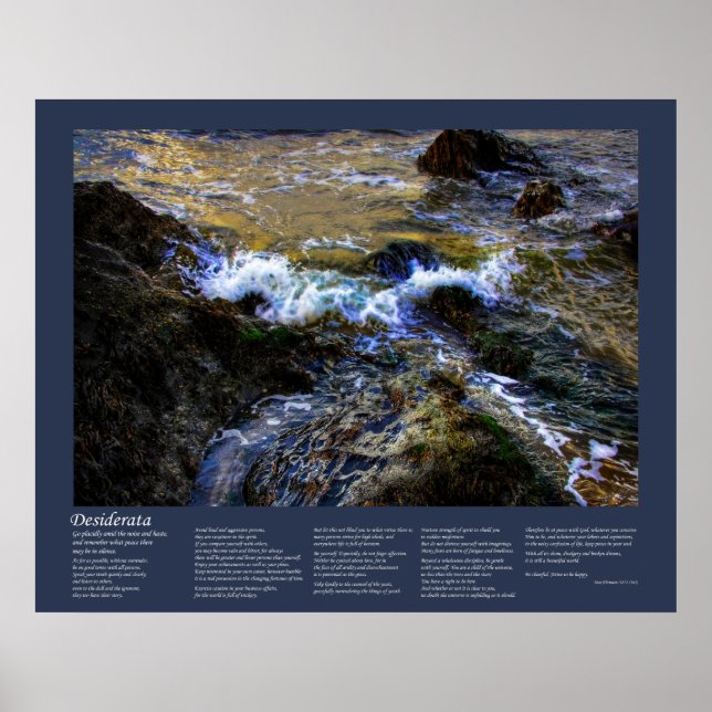 Desiderata - Die Eager-Flut Poster (Vorne)