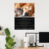 Desiderata Friedliche Gesellschaft: Kitten und Hun
