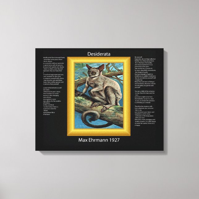 DESIDERATA Galago 2 Leinwanddruck (Vorderseite)