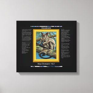 DESIDERATA Galago Impression sur toile
