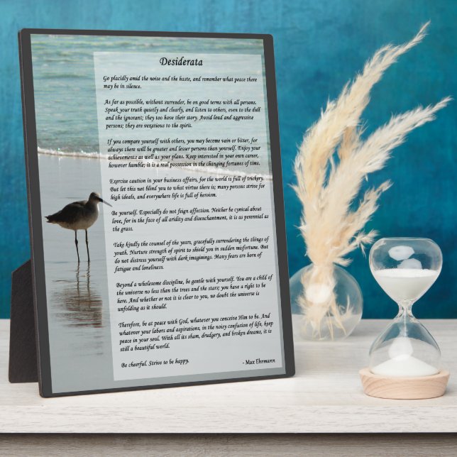 Desiderata Gedicht - Seagull am Strand Fotoplatte (Seite)