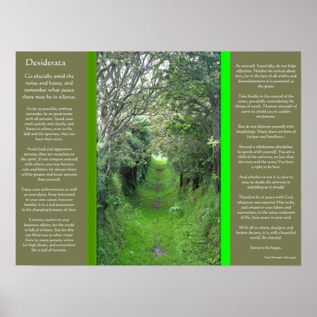 DESIDERATA Grass Road Posters Poster (Vorne)
