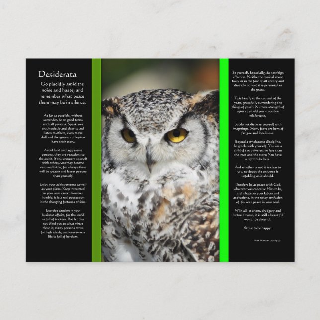 DESIDERATA Great Horn Owl Postkarte 1 (Vorderseite)