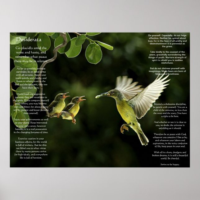 Desiderata Hummingbird Posters Poster (Vorne)