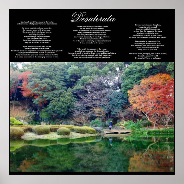 desiderata inspirational poster VON 8,99 (Vorne)