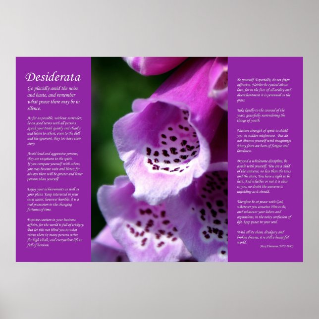 Desiderata - Lila Foxglove Poster (Vorne)