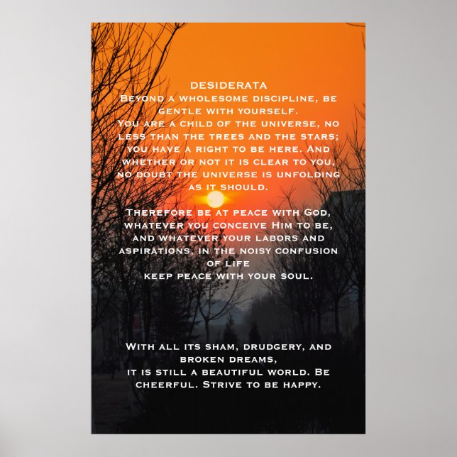 DESIDERATA Orange Walkway Posters Poster (Vorne)