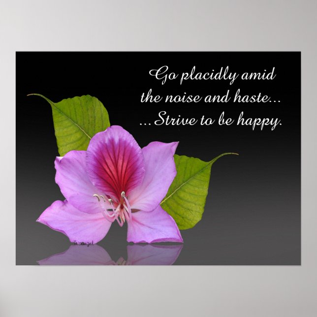 Desiderata orchid art photography Inspirational Poster (Vorne)