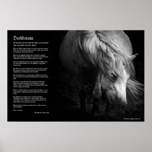 Desiderata - Pony Head and Mane von Fine Art Pony Poster
