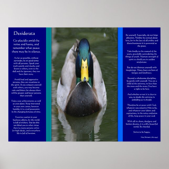 DESIDERATA Recherche Poster Canard (Devant)