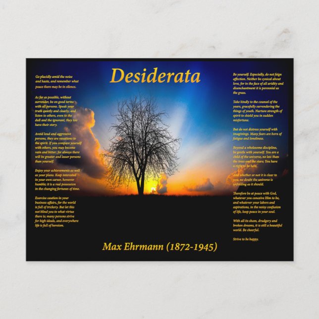 Desiderata-Silhouette eines Weidenbaums Postkarte (Vorderseite)