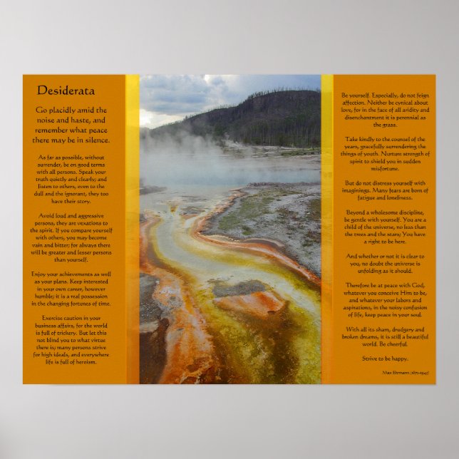 DESIDERATA Thermal Pools Posters Poster (Vorne)
