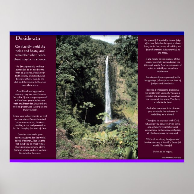 DESIDERATA Wasserfälle Poster 6 (Vorne)