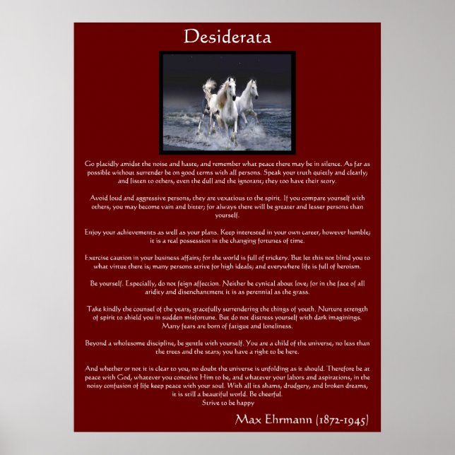 Desiderata white arabian Pferdeposters Poster (Vorne)