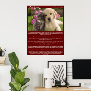 Desiderata Young Love Fight Posters