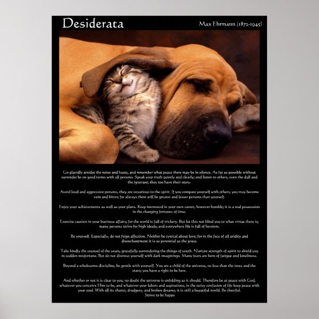 Desiderata Young Love Posters 2 Poster (Vorne)