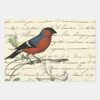 Design 6 der Ephemeride Birds Series Geschenkpapier Set