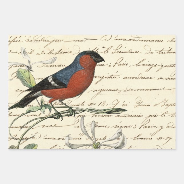 Design 6 der Ephemeride Birds Series Geschenkpapier Set (Vorderseite)
