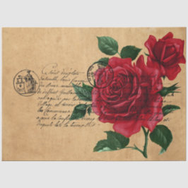 Design der französischen Handschrift und Rote Rose Seidenpapier