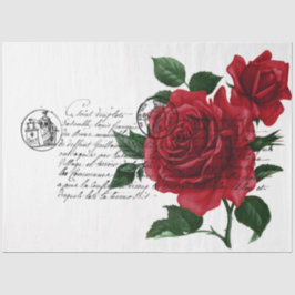 Design der französischen Handschrift und Rote Rose Seidenpapier