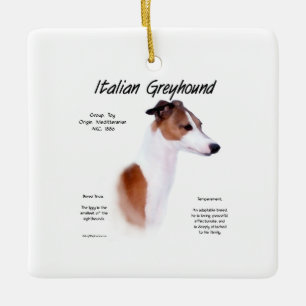 Design der Geschichte Italiens Keramikornament