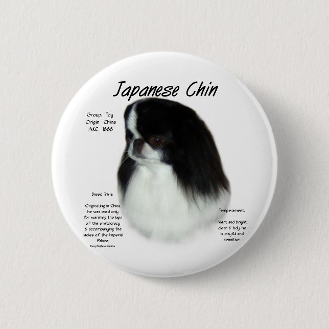 Design der japanischen Chirurgeschichte Button (Vorderseite)