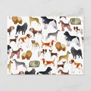 Design der niedlichen Pedigree-Dog-Hintergrundbild Postkarte