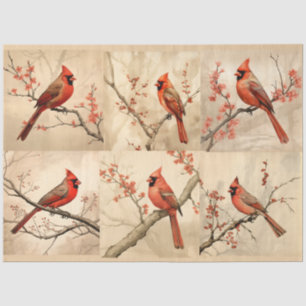 Design der Red Kardinal Serie 1 Seidenpapier