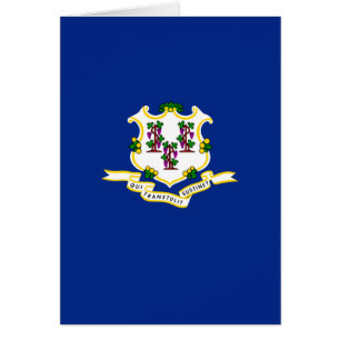Design der Verbindungsstatusflagge